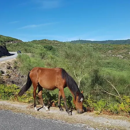 Сasa de vacaciones Casa Maria Da Eira